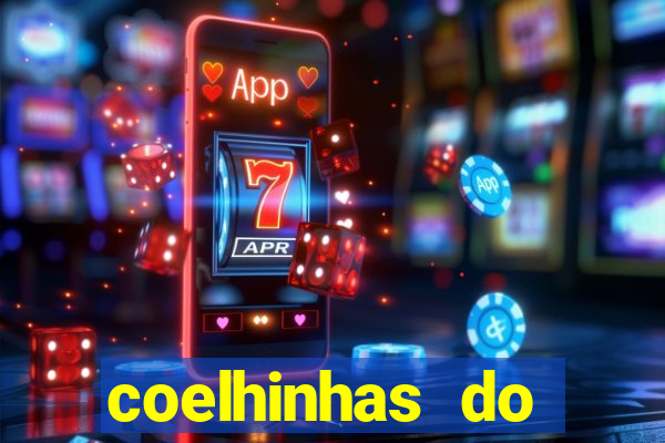 coelhinhas do brasil acompanhantes